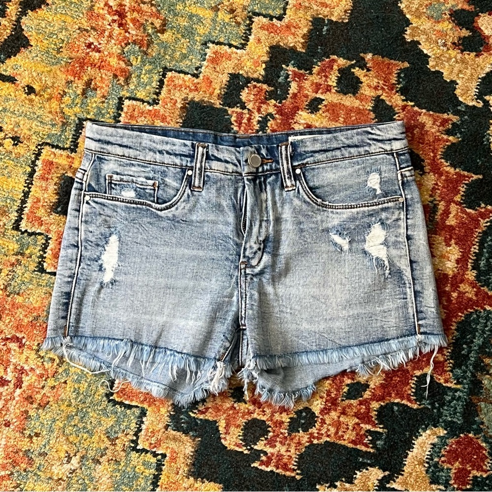Blank NYC hiker short